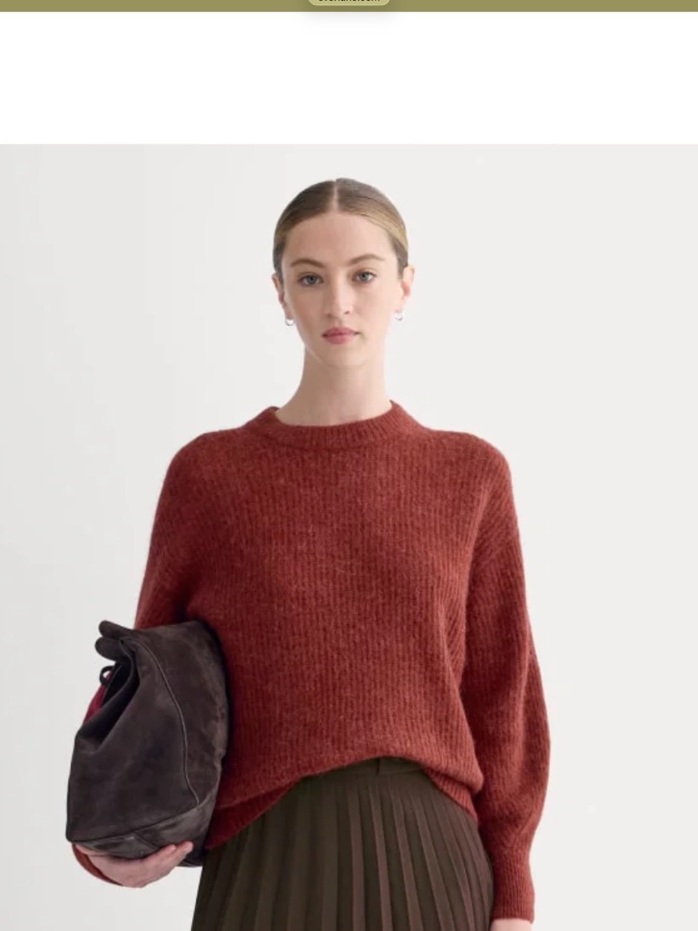 Everlane The Cocoon in Alpaca Merlot Crewneck Sweater